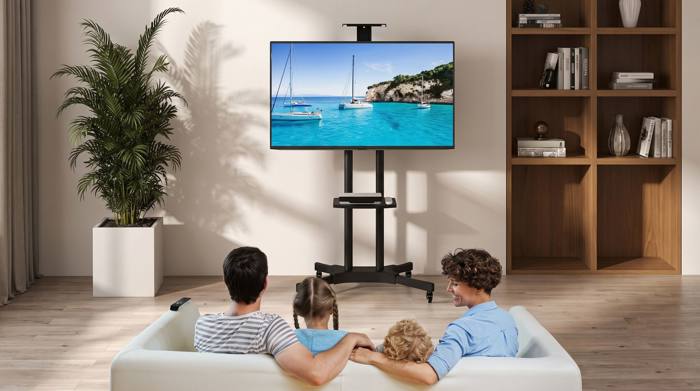 LED TV with stand for rent