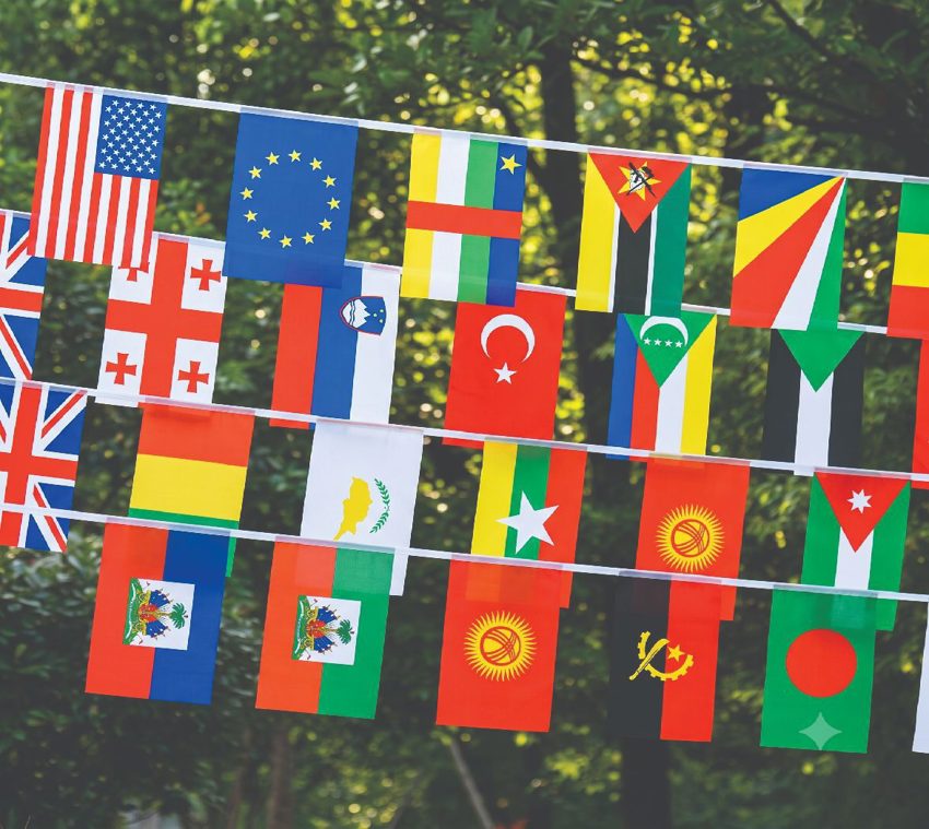 Hanging Flag